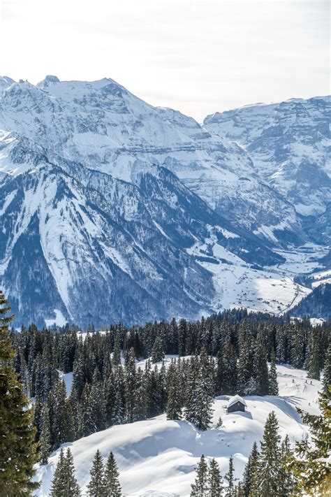 Panorama Winterwanderung Braunwald Glarus