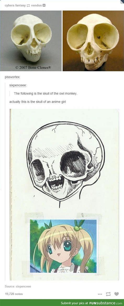 There Are Different Types Of Skulls Ranimemes