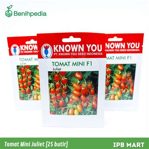 Jual Benih Tomat Mini Cherry Juliet Shopee Indonesia