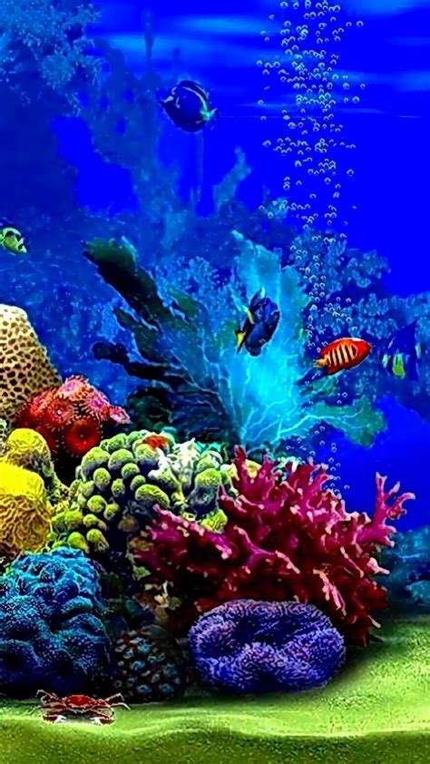 Learn all about coral reefs and ocean life in this fun coral reef habitat diorama craft. 🐚🐚 | Coral reef plants, Underwater painting, Iphone wallpaper