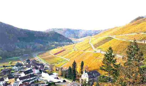Der rotweinwanderweg gilt als einer der schönen wege durch die deutsche weinlandschaft und zieht sich über 35 kilometer. Rotweinwanderweg: Dernau - Ahrweiler