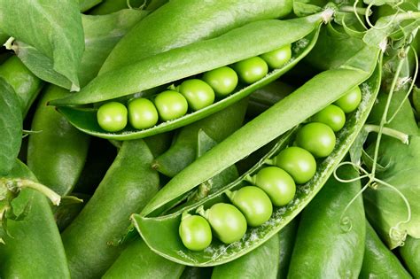 If you follow this instruction with just a few extra steps, you can turn those pea pods into a gorgeous green puree to use in. Pea Pod Nutrition | Healthfully