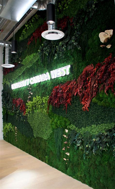 Preserved Plant And Preserved Mixed Moss Wall Greenscape Design Decor
