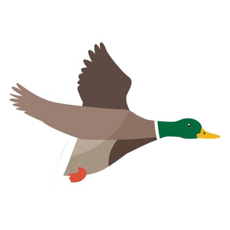 Duck Flying Flat Transparent Png And Svg Vector File