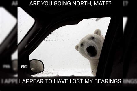 Snow Jokes The Funniest Puns And Memes On Snow Day 2018 London