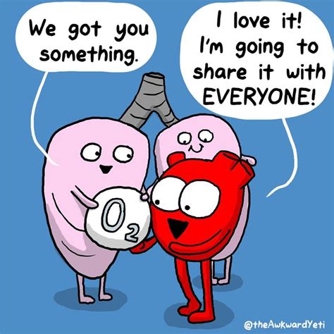 Image Result For Awkward Yeti Lungs Give Oxygen To Heart Biology Humor Science Jokes Biology