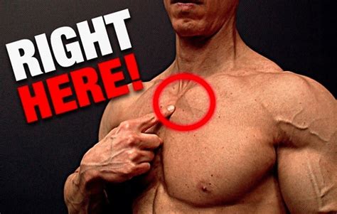 Ultimate Chest Workout Key To Bigger Pecs Fitness Volt Bodybuilding