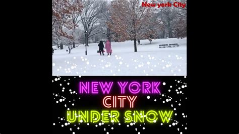 New York City Under Snow 2021 Youtube