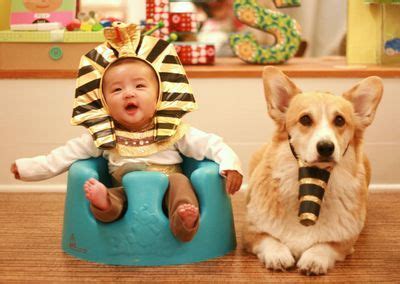Pharoah & Sphinx costumes for baby and 4-legged best ...