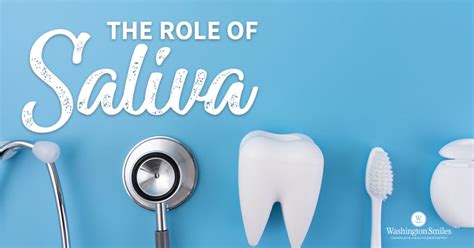 The Role Of Saliva Washington Smiles Complete Health Dentistry