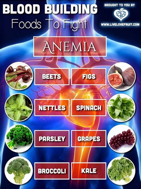The Natural Health Page Foods For Healthy Blood