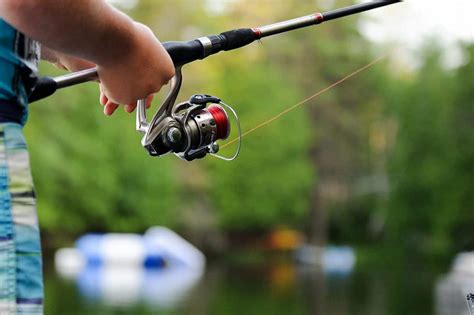 Spinning Reel Sizes Plus Charts Choosing The Right Outfit