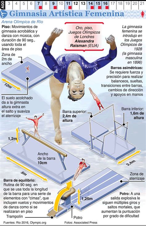 Pin By Maria Reyes On Infografías Deportivas Artistic Gymnastics