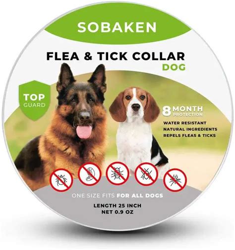 11 Best Tick Repellent For Dogs And How To Choose The Right One