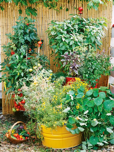 10 Small Space Garden Ideas And Inspiration The Girl Creative