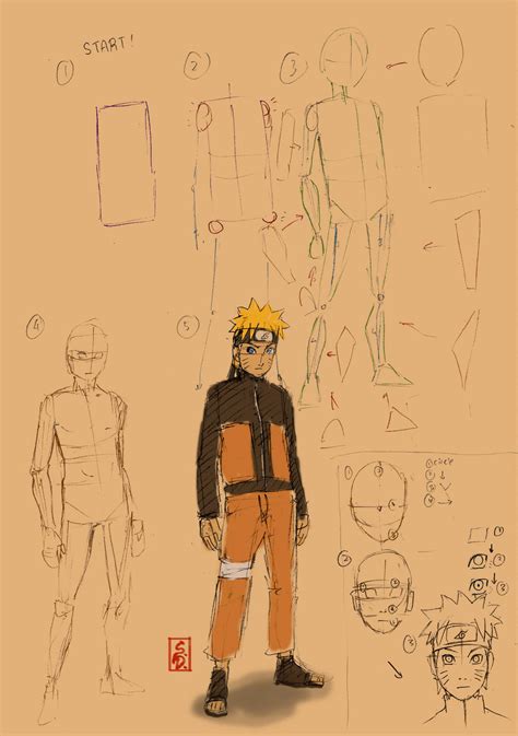 Naruto N Basic Anatomy Tut By Sharingandevil On Deviantart