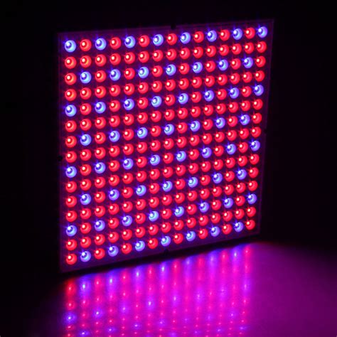 We did not find results for: 45W 200W Reflector Cup Full Spectrum Led Grow Lights For ...
