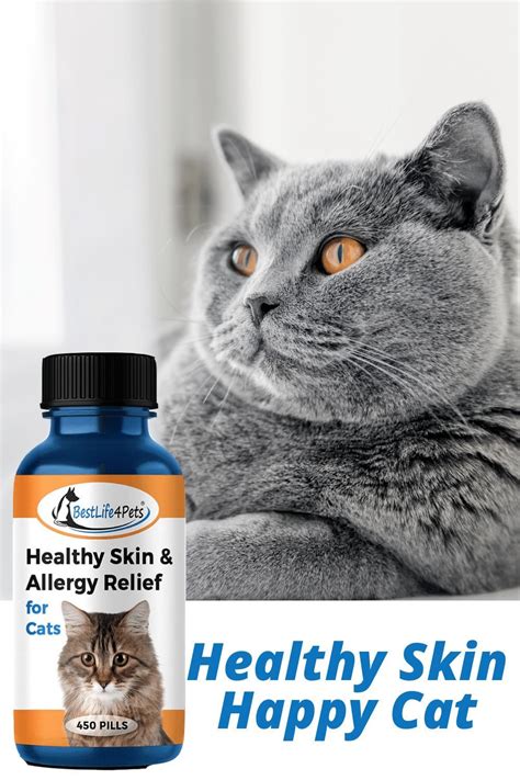 Pin On Cat Skin Care