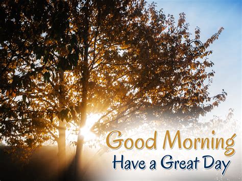 Have A Great Day – Good Morning  DesiComments.com