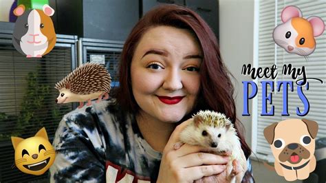 Meet My Pets March 2018 Youtube
