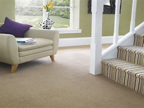 Plain Carpet Dubai Buy Luxurious Plain Wool Carpet In Uae