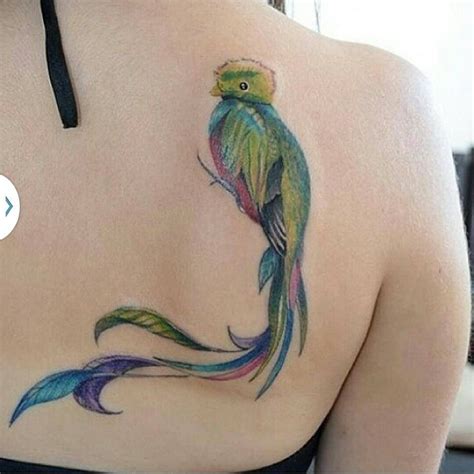 Quetzal tattoo, estado de méxico. Our Guatemalan bird Quetzal ️ | Tribal, Tattoo, Weird body ...