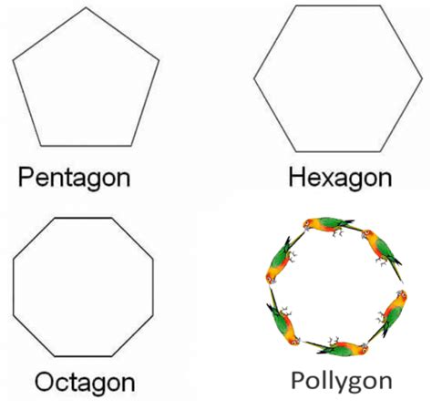 It's a free online image maker that allows you to add custom resizable text to images. Pentagon Octagon Hexagon Polygon | Hexagon Meme on SIZZLE