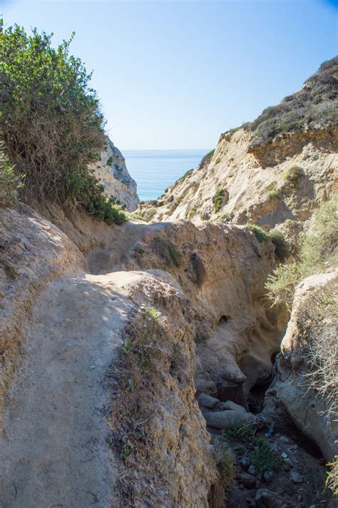 Torrey pines state natural reserve takes no responsibility for injuries incurred on this. Ho Chi Minh Hiking Trail to Black's Beach | Outdoor Project