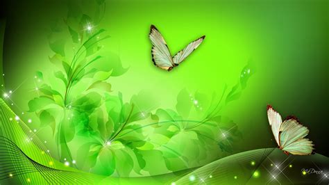 Green Butterfly Wallpaper 65 Pictures