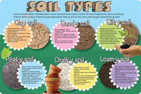 Essentially, types of dirt can be divided into the following main groups. Soil Types | Spaceright Europe Ltd