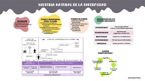 Historia Natural De La Enfermedad Angie Re Tegui Zuloeta Udocz