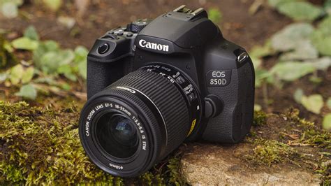 Beginners Guide To Digital Cameras