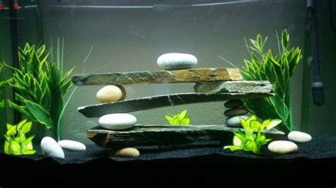 About 12% of these are aquariums, 2% are aquariums equipments, and 0% are cleaning tools. Betta Fish Facts | Modern fish tank, Fish tank themes ...