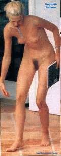 Gwyneth Paltrow Nudes Porn Sex Photos