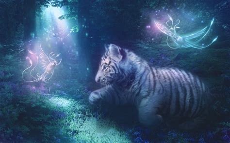 Fantasy Tiger Animal Predator Art Artistic Wallpaper 2560x1600
