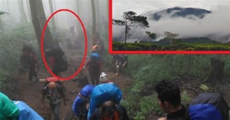 Cerita Mistis Pendaki Gunung Gede Paling Seram Ini Buat Merinding