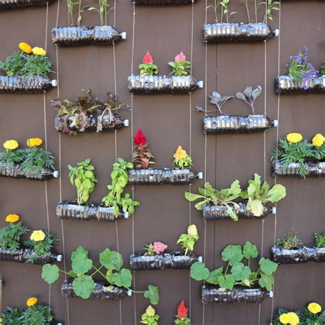 How To Utilize Vertical Gardening For Maximizing Space
