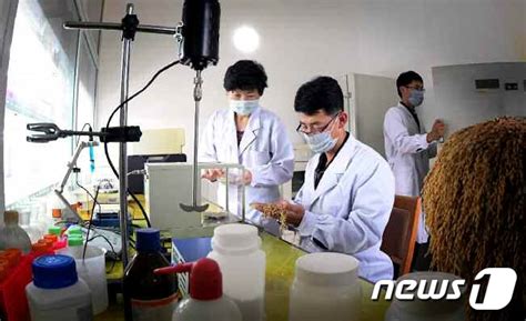 3 공지사항 새해 복 많이 받으세요. 코로나 확진자 없다는 북한, 국제기구에 백신 신청 - 머니S