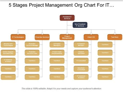 Project Management Organizational Chart Project Management Office