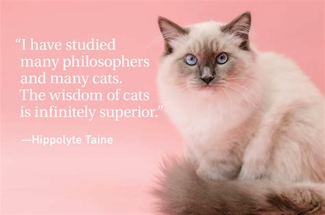 Cat Quotes Every Cat Owner Can Appreciate Readers Digest Canada