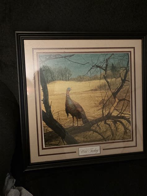 ken davies wild turkey framed art print ebay