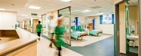Healthcare Facility Pest Control | 4-Hour Emergency Service