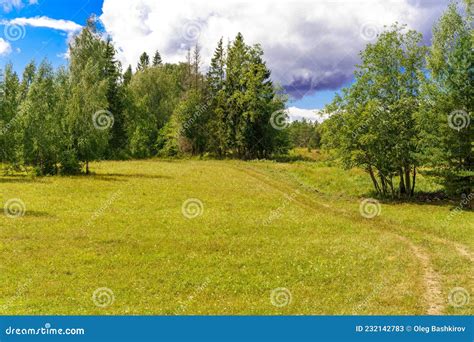 Beautiful Natural Landscape Green Forest On A Background Of Blue Sky
