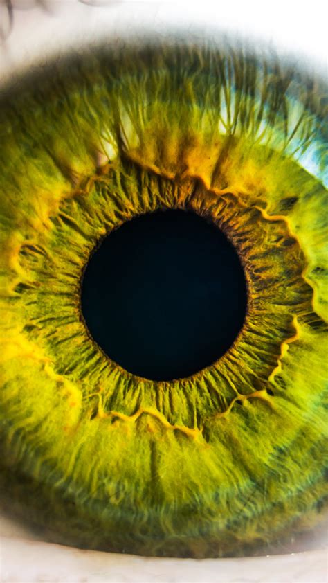 mw29-eye-human-nature-pupil-body-science - Papers.co