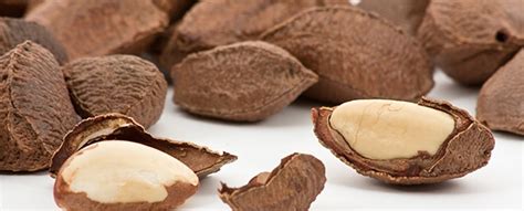 Be Careful With Brazil Nuts And Selenium Poisoning New Health Advisor