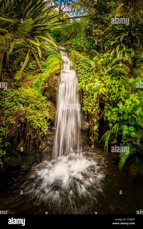 Tropical Forest Waterfall Hi Res Stock Photography And Images Alamy