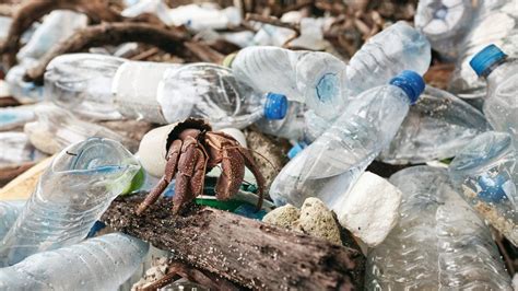 Climate Change Don T Sideline Plastic Problem Nations Urged BBC News