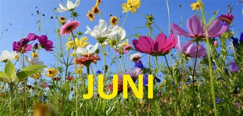 Im juni i, til juni. Evenementenprogramma Juni 2018 - WZC Cocoon
