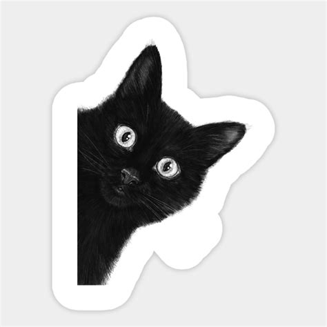 Black Cat Cat Sticker Teepublic