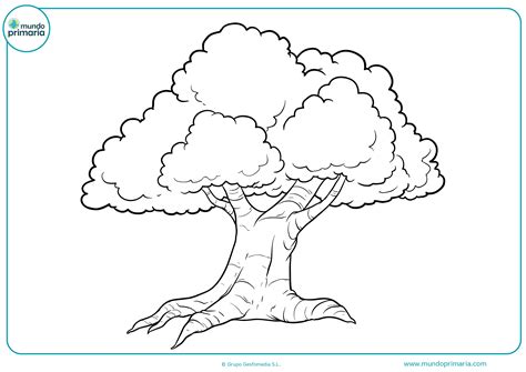 We did not find results for: Dibujo De Puntillismo De Arbol Bonito Y Facil / Lámina de ...